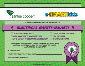 Electrical Safety-SMART certificate